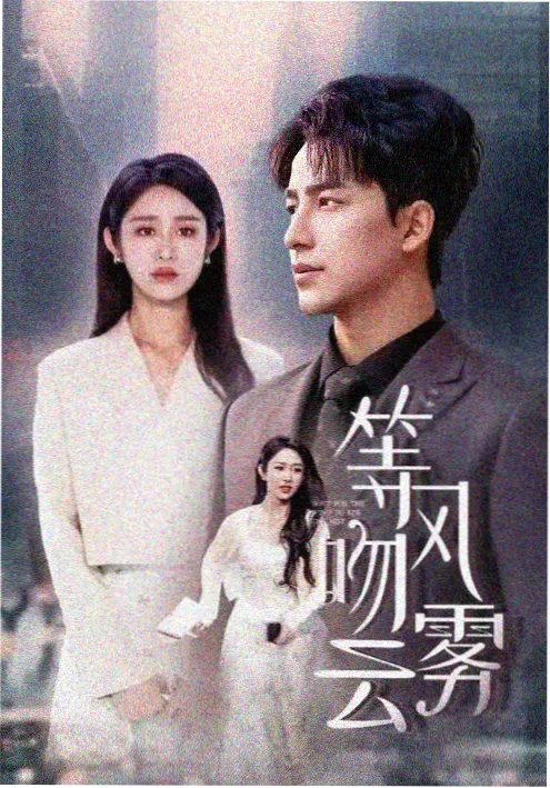 热播剧集暗涌之间海报